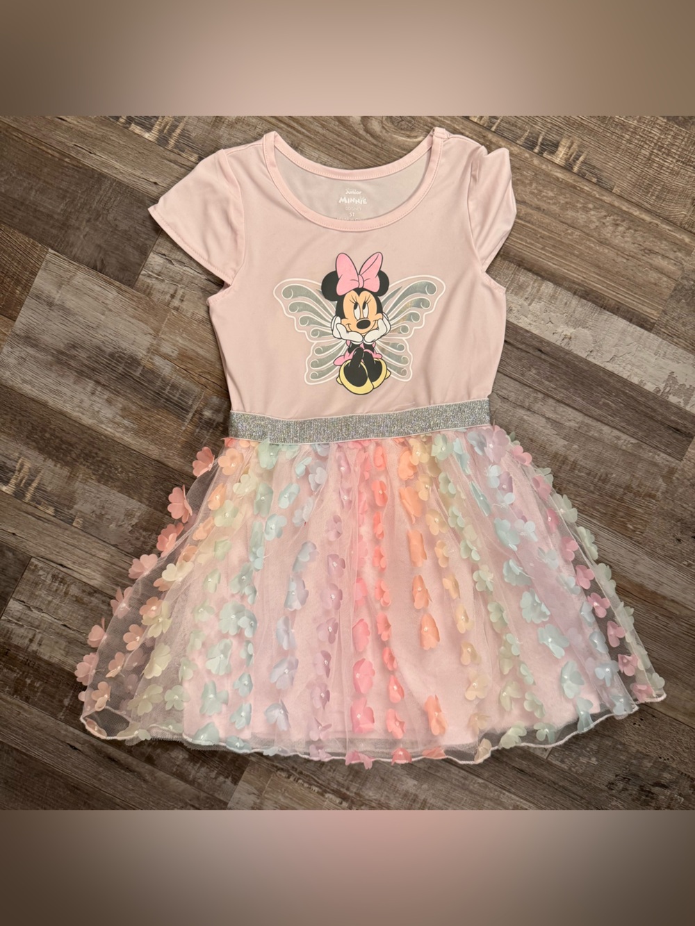 Disney Minnie Mouse Fairy Tutu Dress Girls Size 5T Pink Pastel Butterfly Mesh